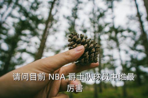 請問目前 NBA 爵士隊球員中誰最 厲害