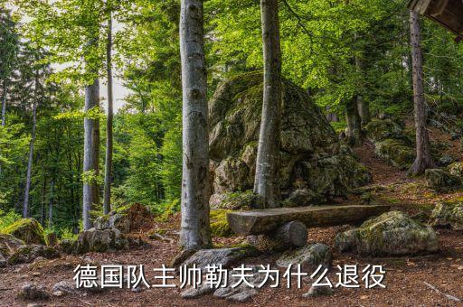 德國隊主帥勒夫為什么退役