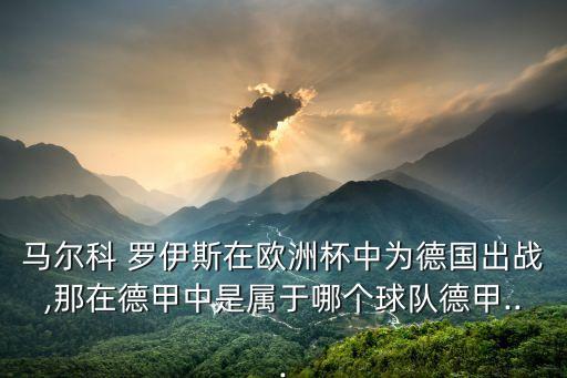 馬爾科 羅伊斯在歐洲杯中為德國(guó)出戰(zhàn),那在德甲中是屬于哪個(gè)球隊(duì)德甲...