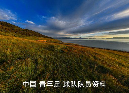 中國(guó) 青年足 球隊(duì)隊(duì)員資料
