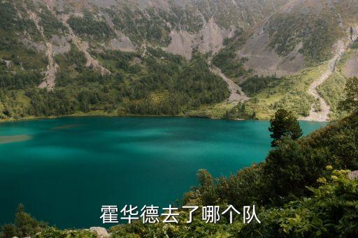  霍華德去了哪個隊(duì)