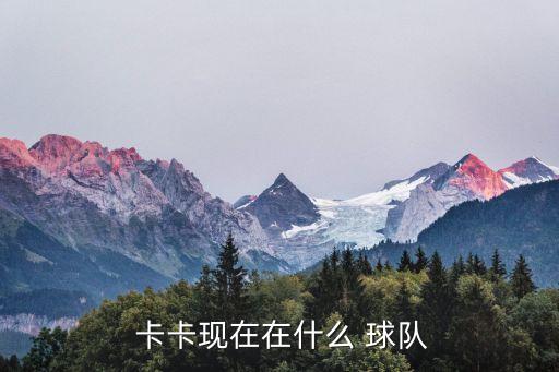 卡卡球星在哪個(gè)球隊(duì),卡卡轉(zhuǎn)會(huì)奧蘭多城隊(duì)