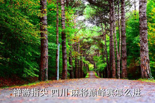 禪游指尖 四川 麻將巔峰賽怎么進