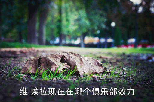 維埃拉哪個(gè)賽季好用,埃拉如愿以償穿上尤文圖斯幸運(yùn)號(hào)