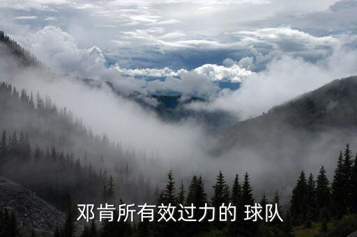  鄧肯所有效過力的 球隊