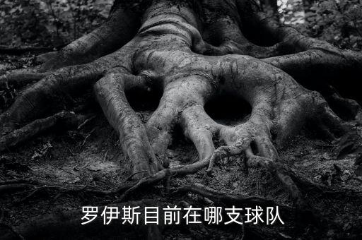 羅伊斯現(xiàn)在在哪個隊,羅伊斯轉會多特蒙德職業(yè)生涯步入正軌