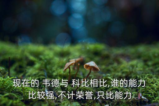 現(xiàn)在的 韋德與 科比相比,誰的能力比較強,不計榮譽,只比能力