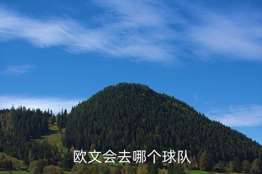  歐文會(huì)去哪個(gè)球隊(duì)