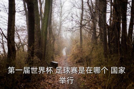 足球在哪個國家比賽錄像,烏拉圭擊敗阿根廷成為第一屆世杯冠軍