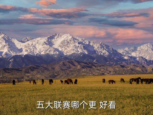 五大聯(lián)賽哪個(gè)更 好看