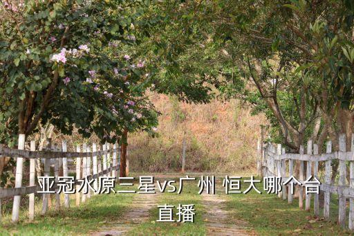  亞冠水原三星vs廣州 恒大哪個(gè)臺(tái)直播