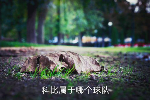  科比屬于哪個球隊