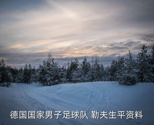 德國國家男子足球隊(duì) 勒夫生平資料