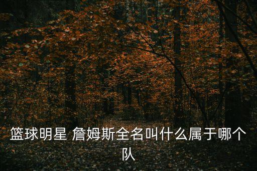 籃球明星 詹姆斯全名叫什么屬于哪個(gè)隊(duì)