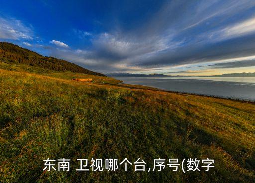 東南衛(wèi)視在哪個(gè)臺(tái),東南衛(wèi)視是怎么一回事?