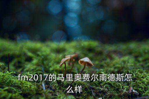  fm2017的馬里奧費(fèi)爾南德斯怎么樣