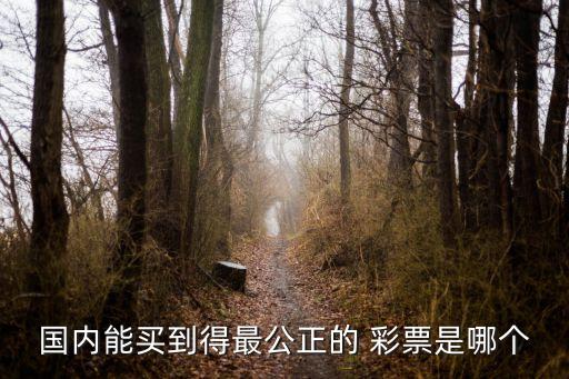 彩票哪個平臺返獎高,發(fā)起人發(fā)起購買后中獎概率更高!