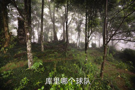  庫(kù)里哪個(gè)球隊(duì)