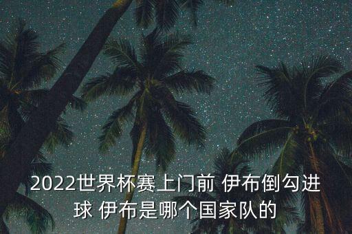 2022世界杯賽上門前 伊布倒勾進(jìn)球 伊布是哪個(gè)國家隊(duì)的
