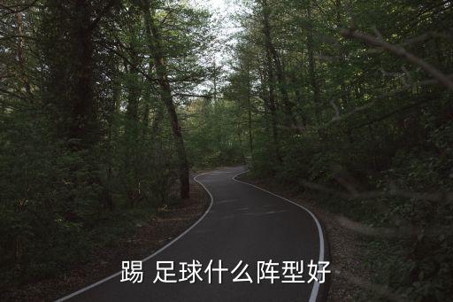 踢 足球什么陣型好