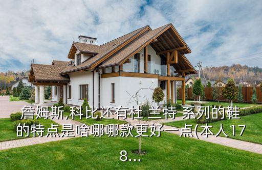 詹姆斯,科比還有杜 蘭特 系列的鞋的特點是啥哪哪款更好一點(本人178...