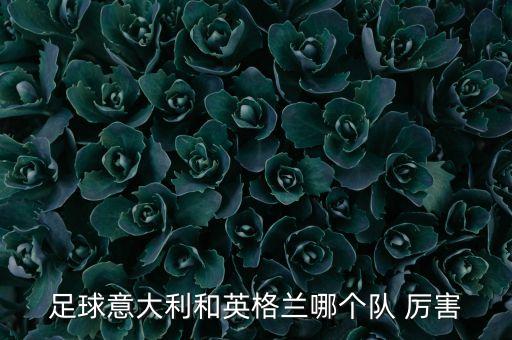 足球意大利和英格蘭哪個隊 厲害