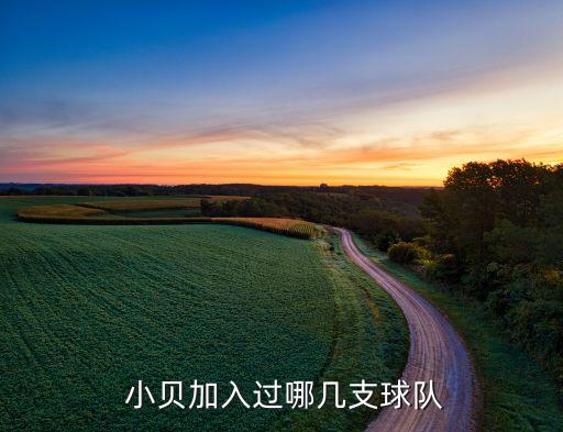 小貝效力過哪個隊(duì),貝克漢姆完成美式足球生涯