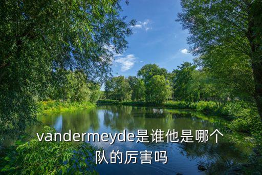 vandermeyde是誰他是哪個隊的厲害嗎