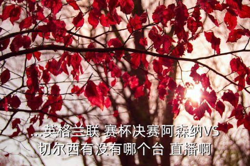 蘇聯(lián)賽杯哪個(gè)臺(tái)直播,看歐冠直播賽事:哪個(gè)電視臺(tái)在直播?