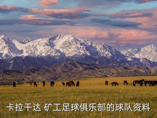 卡拉干達(dá) 礦工足球俱樂部的球隊資料