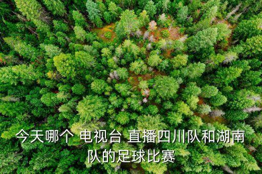 哪個電視臺直播恒大對天海,廣州恒大2-0戰(zhàn)勝蘇寧