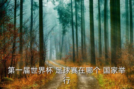 第一屆世界杯 足球賽在哪個(gè) 國(guó)家舉行