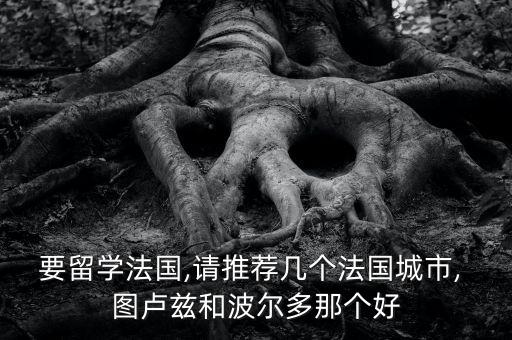 圖盧茲和巴黎哪個好,法國留學(xué)生申請的院校和專業(yè)