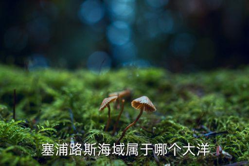  塞浦路斯海域?qū)儆谀膫€(gè)大洋