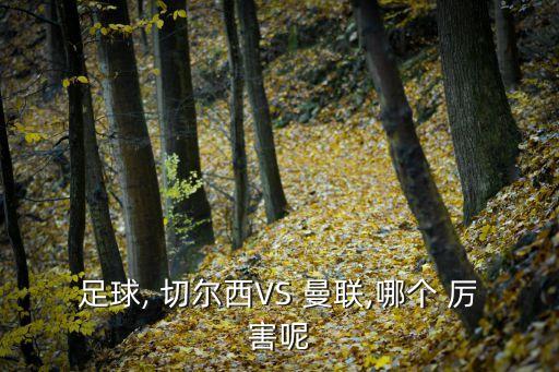足球, 切爾西VS 曼聯(lián),哪個 厲害呢
