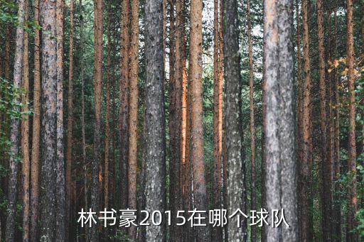 林書豪2015在哪個球隊