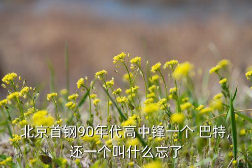 巴特屬于哪個(gè)聯(lián)賽,中國首對(duì)雙塔!巴特er和單濤上演帽子戲法