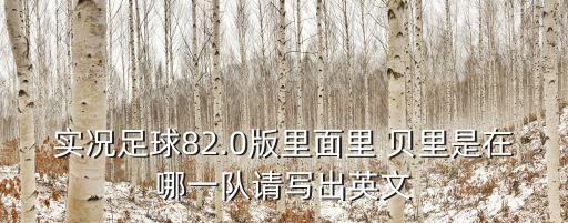 實(shí)況足球82.0版里面里 貝里是在哪一隊(duì)請寫出英文