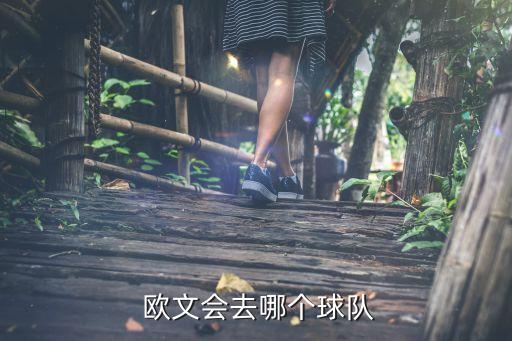  歐文會(huì)去哪個(gè)球隊(duì)