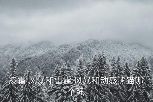 凌霜 風(fēng)暴和雷霆 風(fēng)暴和動感熊貓哪個強