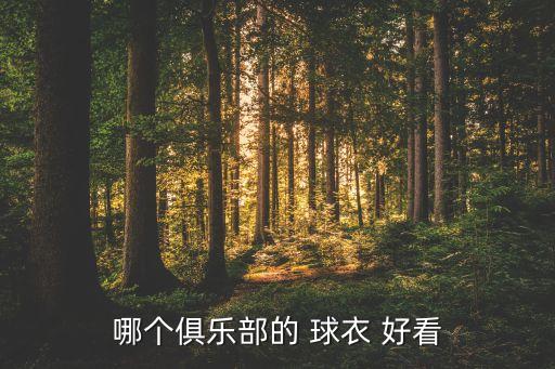 皇馬哪個(gè)球衣最好看,熱刺拿到新款球衣我覺得好看!