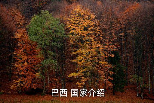 巴西 國(guó)家介紹