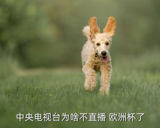 哪個(gè)臺(tái)可以看歐洲杯,世界杯重播可在谷歌、騰訊、央視等播出
