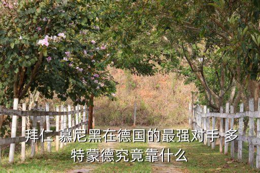  拜仁 慕尼黑在德國(guó)的最強(qiáng)對(duì)手 多特蒙德究竟靠什么