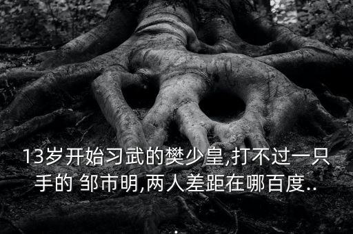 鄒市明比賽在哪個臺,我國是我最大的競賽舞臺