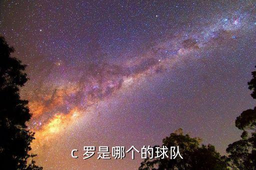 c羅是哪個(gè)足球隊(duì)的,c羅小羅，曾入選葡萄牙國(guó)家隊(duì)