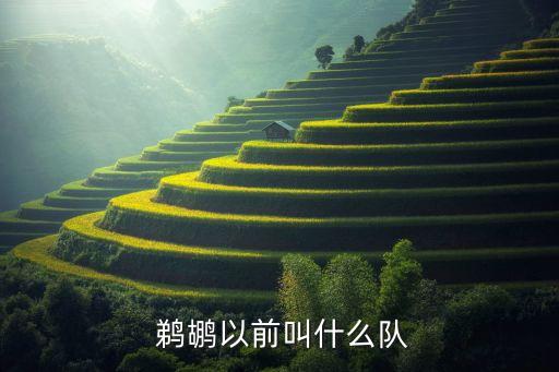  鵜鶘以前叫什么隊