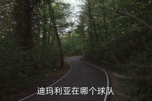 迪瑪利亞在哪個(gè)球隊(duì)