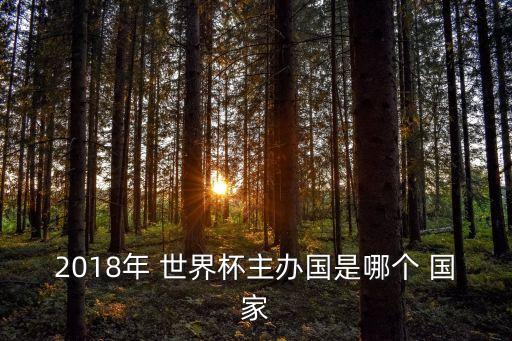 2018年 世界杯主辦國(guó)是哪個(gè) 國(guó)家