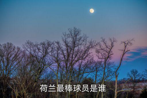 布里蘭是哪個國家隊(duì),齊耶騎木馬回國隨隊(duì)到卡塔爾效力